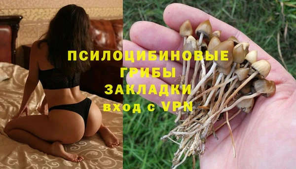 apvp Абинск