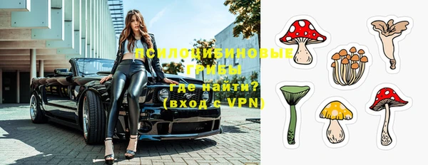 apvp Абинск