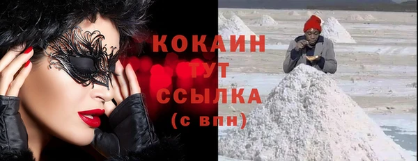 шишки Елабуга